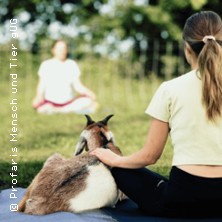 Yoga mit Schafen & Ziegen in der Natur 25.07.2026 Profaris Mensch und Tier